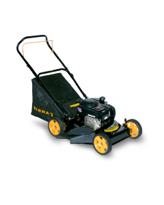 CORTADORA DE CESPED  R75N