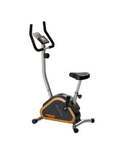 BICICLETA FIJA 300BV