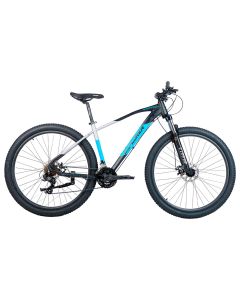 BICICLETA EXPLORER R29