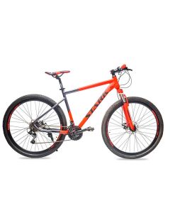 BICICLETA THUNDER R29