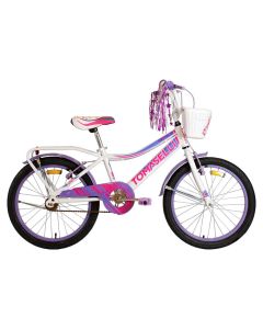 BICICLETA RIDERS FULL R20