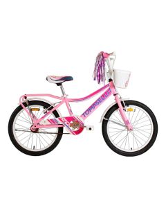 BICICLETA RIDERS FULL R20