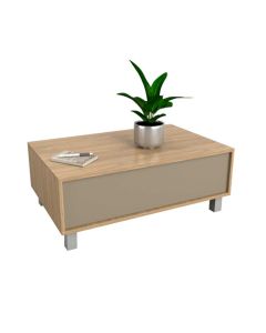 MESA CENTRO 2021-COG