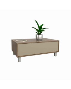 MESA CENTRO 2021-CNG