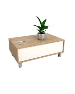 MESA CENTRO 2021-COE