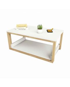 MESA CENTRO 2022-COE